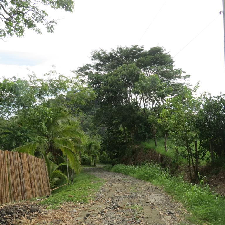 Apartamento Karibu Manuel Antonio Oda fotoğraf
