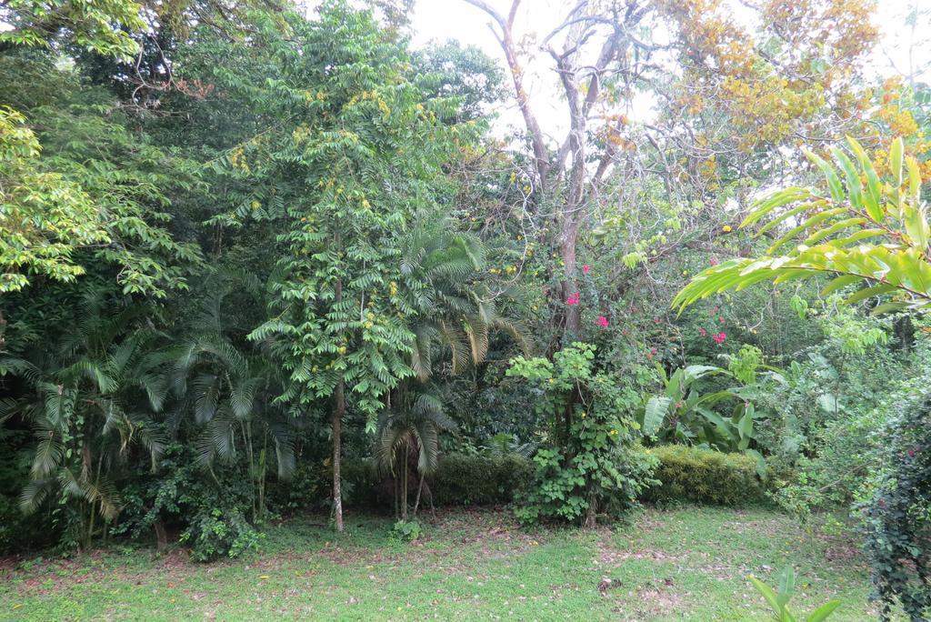 Apartamento Karibu Manuel Antonio Oda fotoğraf
