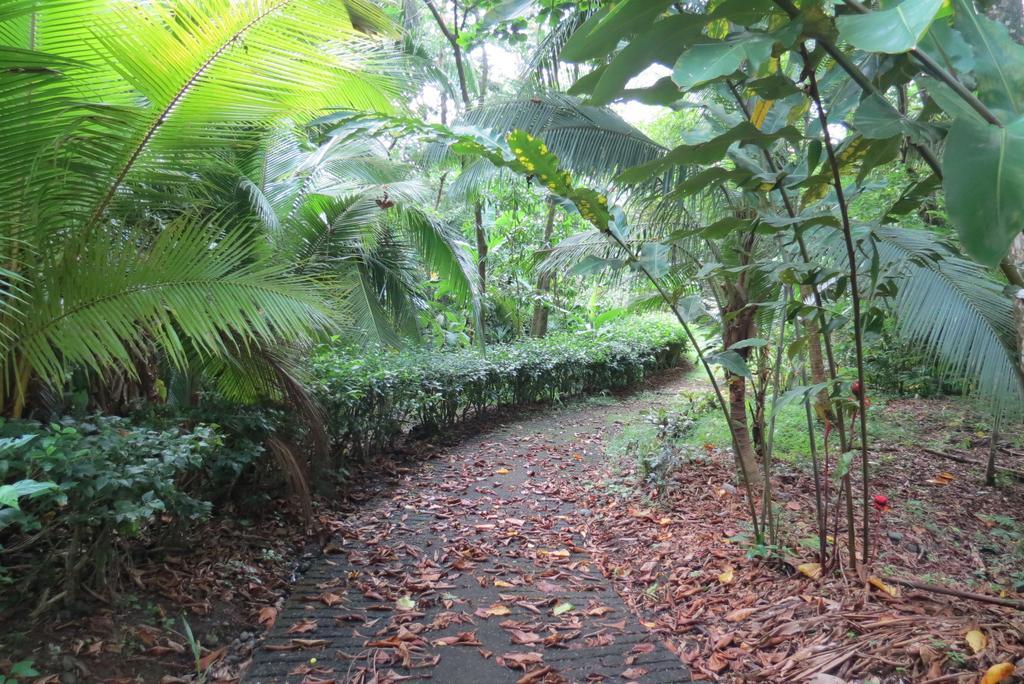 Apartamento Karibu Manuel Antonio Oda fotoğraf