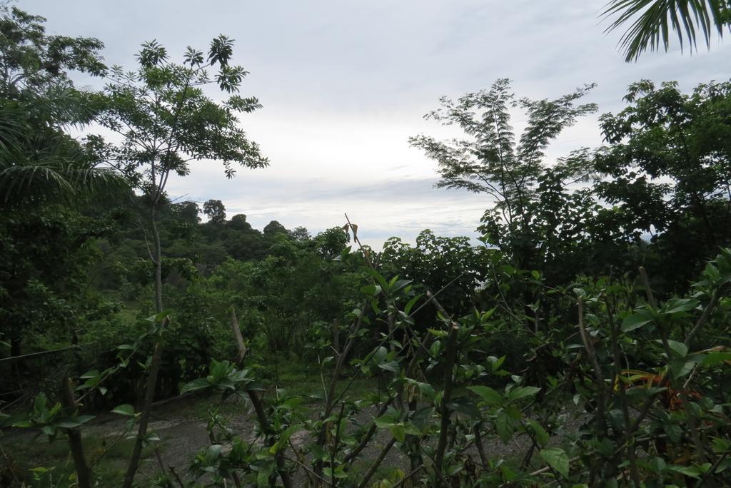 Apartamento Karibu Manuel Antonio Oda fotoğraf
